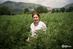 Anna Zeppetella Masseria del Sesto